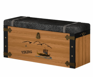 //////// نوجوان وایکینگ-2 بی بی هوم